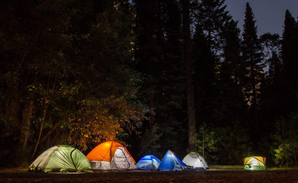 a group of tents in a forest