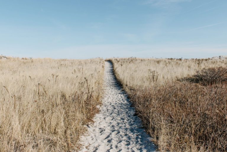 a long trail through a field